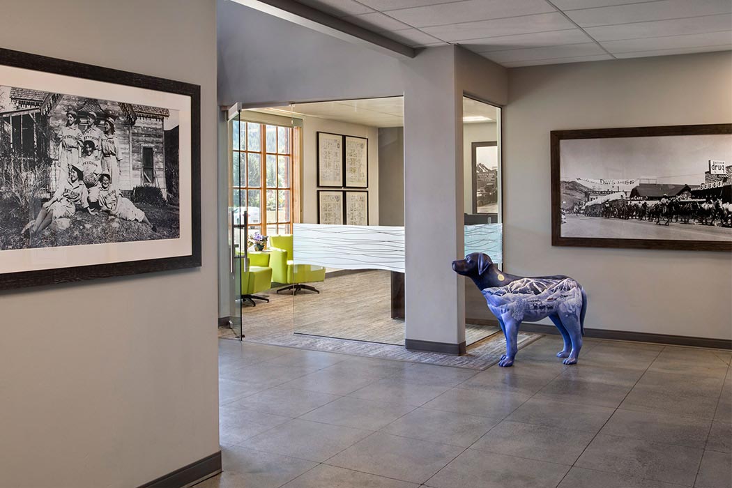 Ketchum City Hall Nicole Snyder Interiors